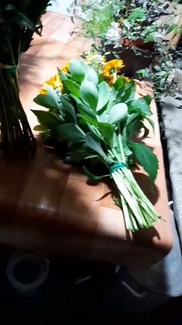 Всё по фен-шуЮ, чтобы стояли! Вырастила, срезала, завар? смотреть онлайн