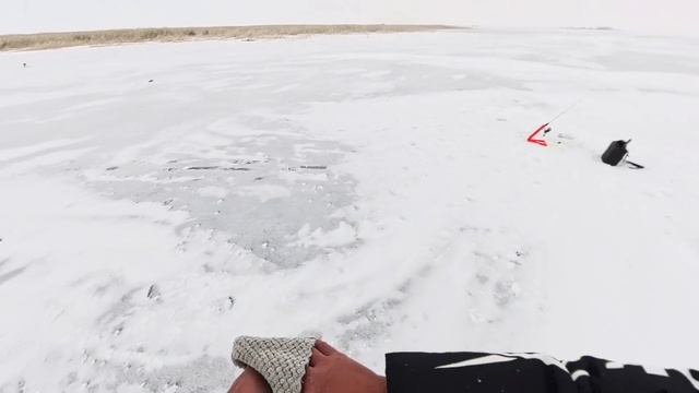 БЕЗДОМНАЯ СОБАКА НА ОЗЕРЕ, РЫБАЛКА С ЛУЧШИМ ДРУГОМ ЧЕЛ смотреть онлайн