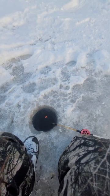 Наша рыбалка озеро Бакланово