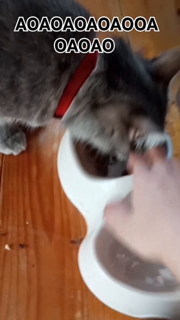 давай пол 1000 то есть 500 котеник смотреть онлайн