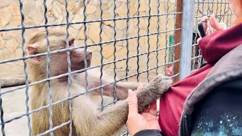 Елисей и Лида НЕ ОБРАЩАЮТ ВНИМАНИЕ на Люську и она попросилась ДОМОЙ смотреть онлайн