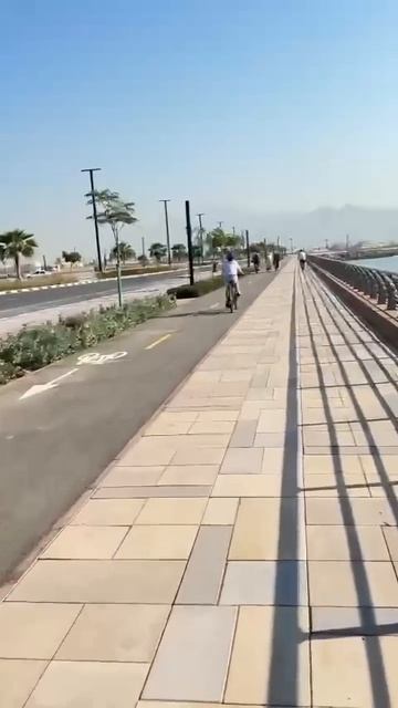 Движение это жизнь! смотреть онлайн