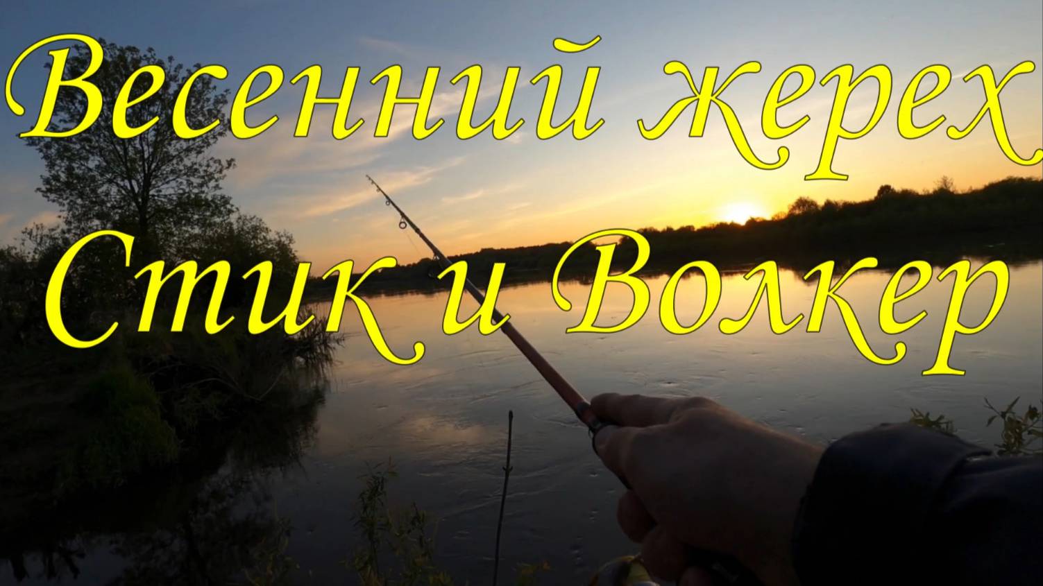 Весенний жерех \ Стик и Волкер \ #рыбалка #жерех #стик #волкер