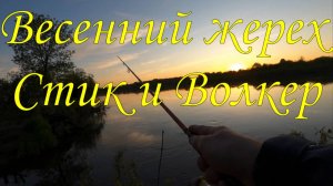 Весенний жерех \ Стик и Волкер \ #рыбалка #жерех #стик #волкер