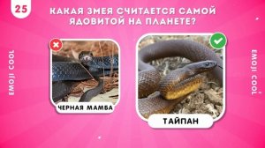 50 ВОПРОСОВ О ЖИВОТНЫХ 🧠🐬🦎🦁 / КАК МНОГО ВЫ ЗНАЕТЕ О ?