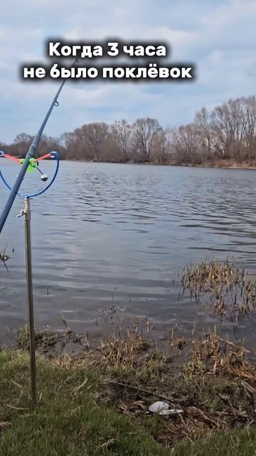 Каждому знакомая картина) нашел себя? #рыбалка #рыбалк? смотреть онлайн
