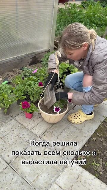Ну как не показать #юмор #садоводничество #цветы #дача # смотреть онлайн
