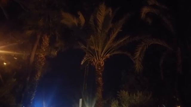 Летающие мыши в Алании, Турция, октябрь 18г. смотреть онлайн