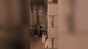 Небольшая стройка коморки, кладовки в подвале многокв