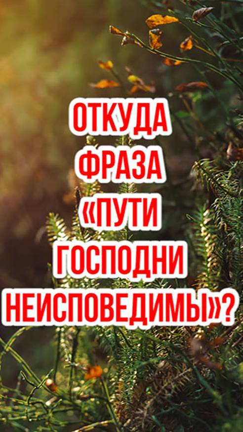 Откуда появилось выражение «Пути Господни неисповедимы»? смотреть онлайн