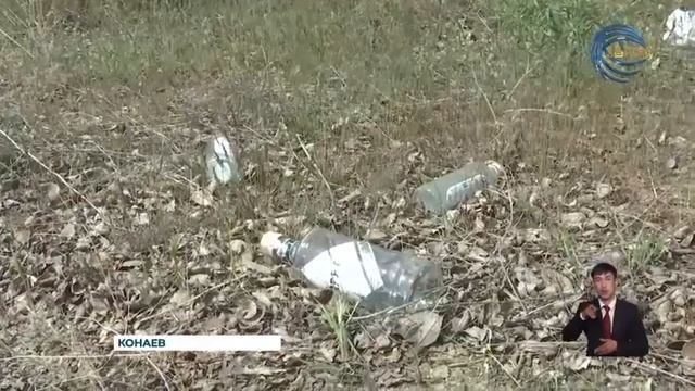 В городе Конаев состоялся экологический субботник