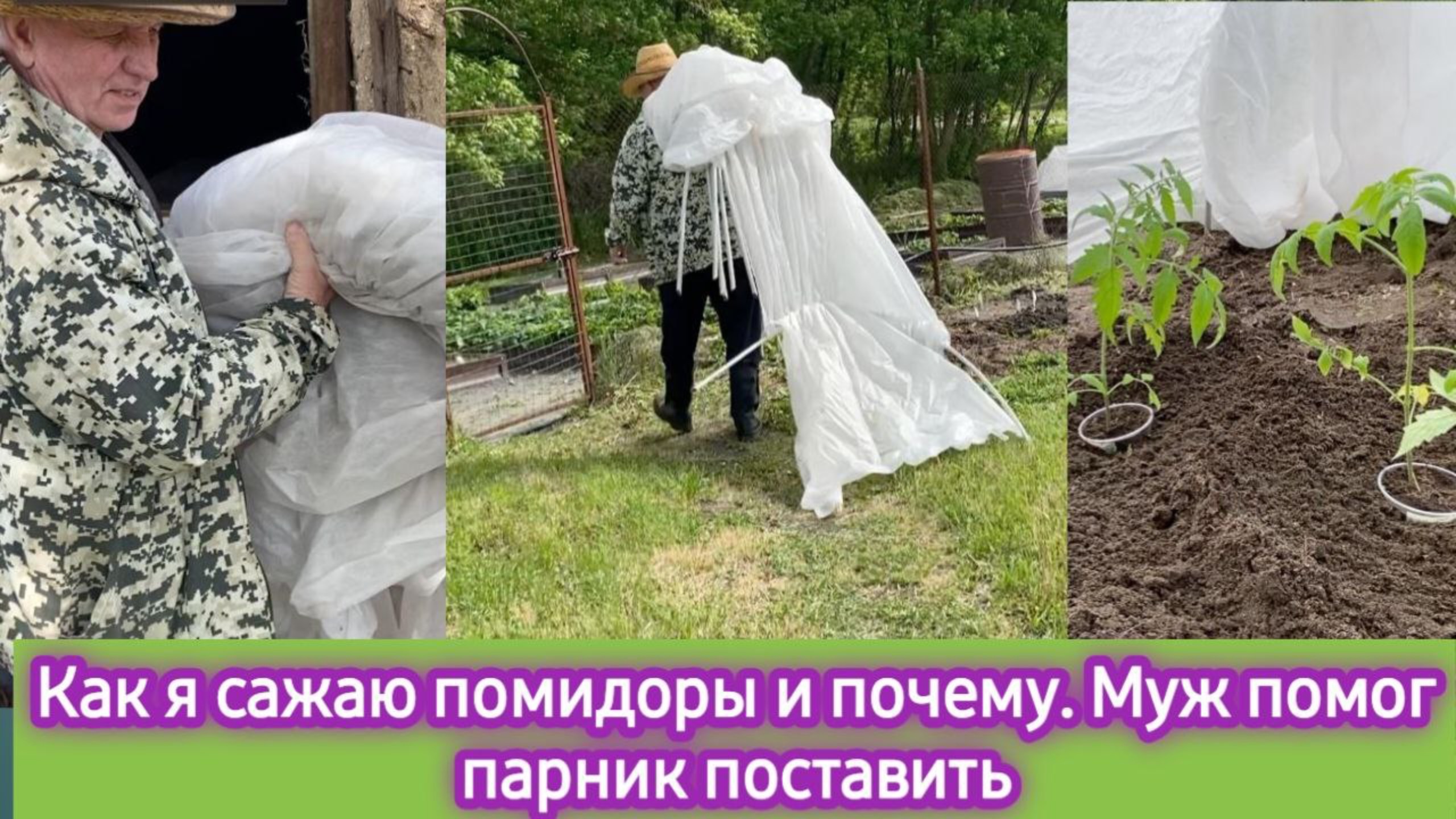 Как я сажаю помидоры и почему. Муж помог поставить парник, смотреть онлайн