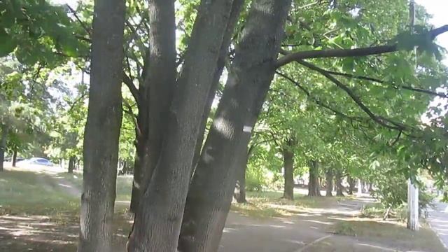 Squirrel is cool and funny Белка прикольная и смешная смотреть онлайн