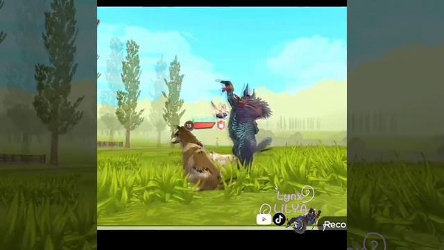 Ура у меня теперь есть 2акк^-^#wildcraft #ibeta125 #lilya #edit #вайлдк? смотреть онлайн
