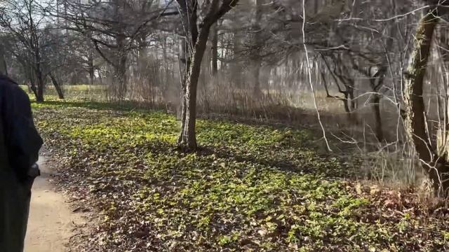 Ботанический сад им.Цицина/Я-Уточка/Кусочки моей люби?