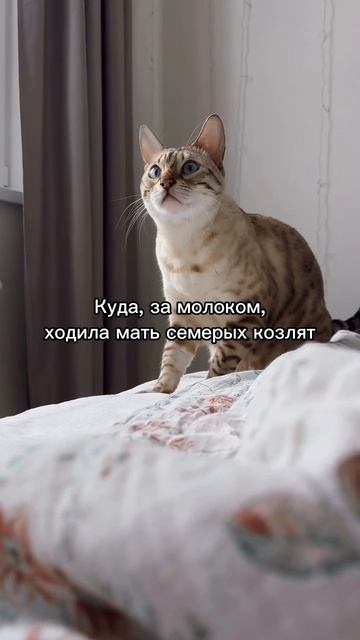 Есть ответ на вопрос? смотреть онлайн