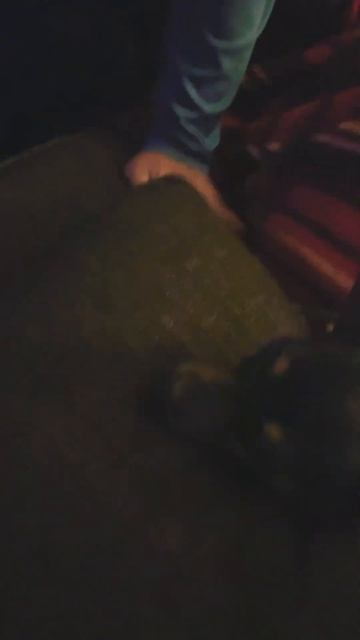 У моей подруги есть собака и она заражена ипелепсияй и смотреть онлайн