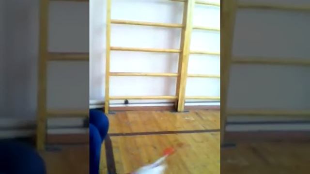 САСУН ОТ БОГА ; УТЕРЯННОЕ ВИДЕО ХАХАХА смотреть онлайн