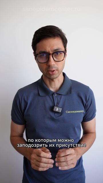 Клопы в квартире! Признаки присутствия постельных клопов, как их найти и уничтожить?