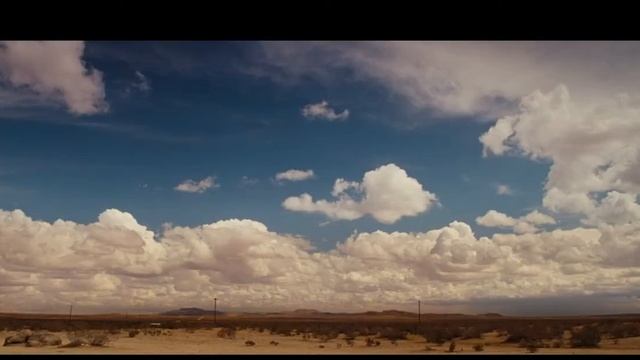The Sad Story Of Nocturnal Animals (Под Покровом Ночи)