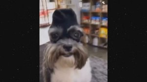 [ПРИКОЛЫ ТРОЛЛЯ] Я ржал до слез 😂 30 Минут