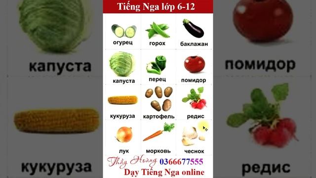 #Shorts 2_Học từ vựng hàng ngày смотреть онлайн