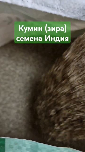 Кумин семя (зира) оптом купить смотреть онлайн