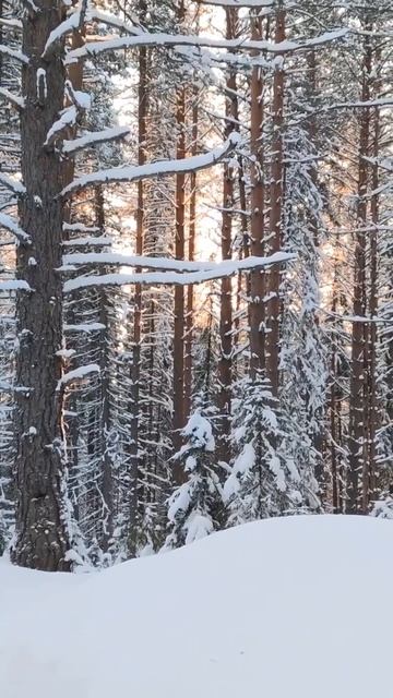 #ПермскийКрай #Русская глубинка #деревня #зима смотреть онлайн