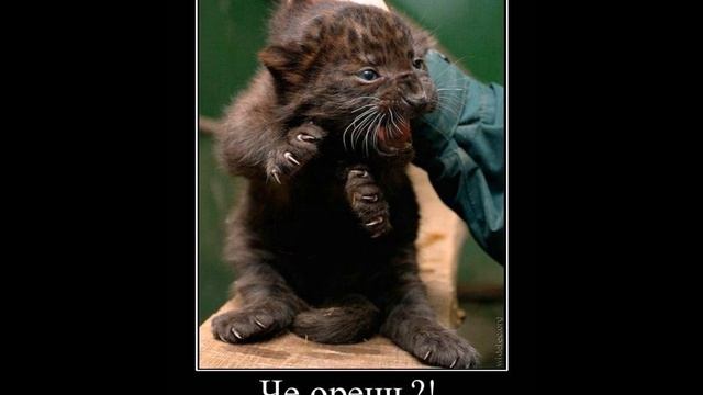 Деньги и Любовь смотреть онлайн