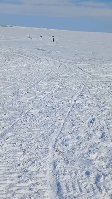 мы пошли на рыбалку😁красота🙂 #Shorts #Shorts #Shorts #Shorts#Shorts #S смотреть онлайн