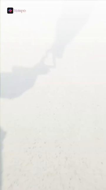 мои друзья ( девочки) там есть Мейси, Гулгина, Я и Ёнро смотреть онлайн