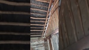 Убираем половину гнилого сарая, спасаем вторую полови