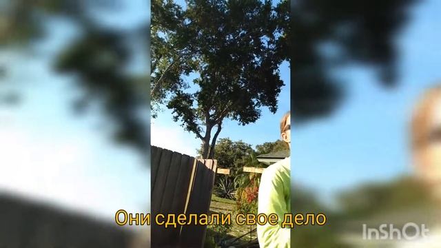 Дыра в заборе смотреть онлайн
