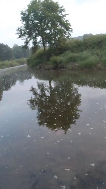 ЗВУК ПРИРОДЫ НА РЫБАЛКЕ! FISHING SOUND NATURE! смотреть онлайн