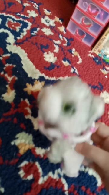 нюша хочет быть как мурка😮 смотреть онлайн