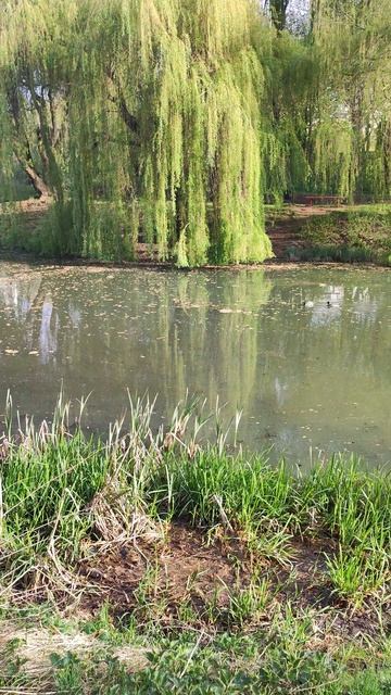 Астра над рікою смотреть онлайн