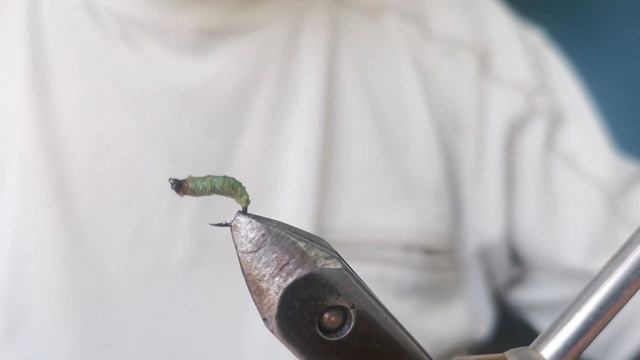 ....."ручейник в домике", который подрос и вышел из старо? смотреть онлайн