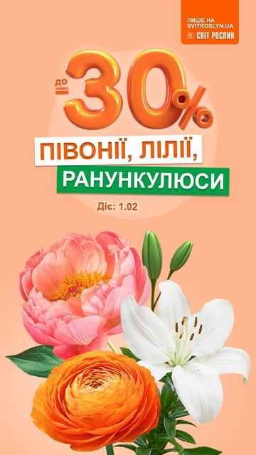 Півонії, Лілії, Ранункулюси до -30% на svitroslyn.ua смотреть онлайн