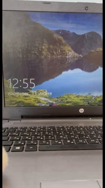 Веня помогла бездомным животным в благотворительной ? смотреть онлайн