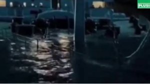 Мы как дельфины мы уходим в плавание, прикол