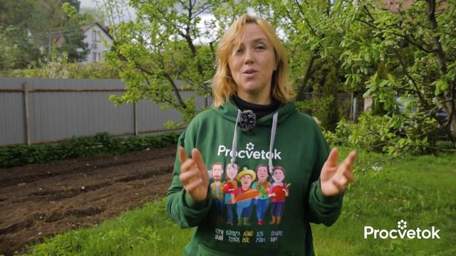 ПОСЛЕ ЦВЕТЕНИЯ ВСЕМ ДЕРЕВЬЯМ ОБЯЗАТЕЛЬНО дайте такую подкормку и обработку от болезней и вредителей смотреть онлайн