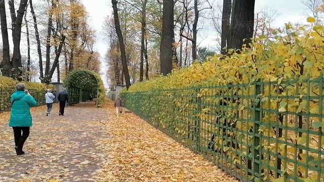 Санкт-Петербург. Летний сад. 24.10.2024. смотреть онлайн