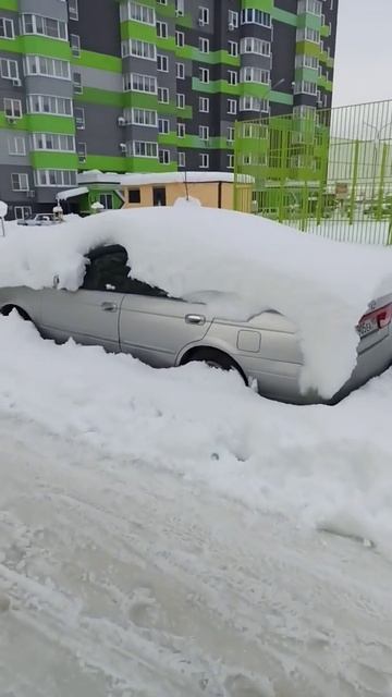 Краснодарские "подснежники" ждут весны #Shorts смотреть онлайн