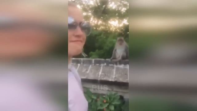 Подборка № 248 Отборные приколы! Взрослые приколы! смотреть онлайн