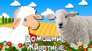 ДОМАШНИЕ ЖИВОТНЫЕ + ЗВУКИ И ГОЛОСА ЖИВОТНЫХ + Развивающие, Обучающие Мультики Детям-Карточки Домана