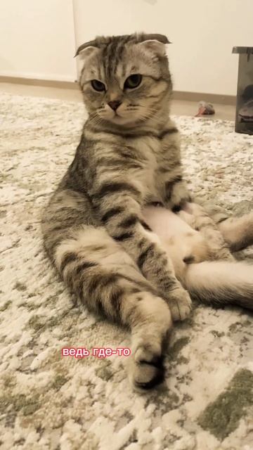 Есть баба,которая смешивает вас с дерьмом😂😂😂 смотреть онлайн