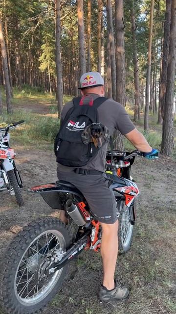 🔥Если с другом вышел в путь 🐕🦺🔥 смотреть онлайн