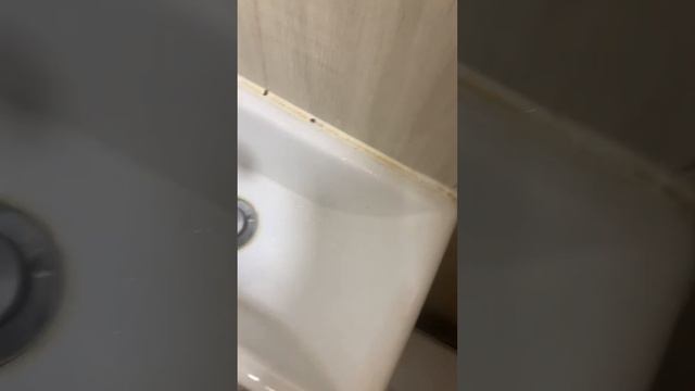 Как сделать беруши из туалетной бумаги смотреть онлайн