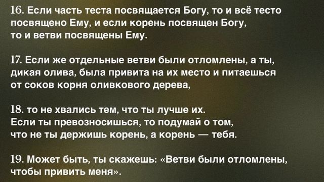 Римлянам 11 глава| Новый Завет| НРП смотреть онлайн