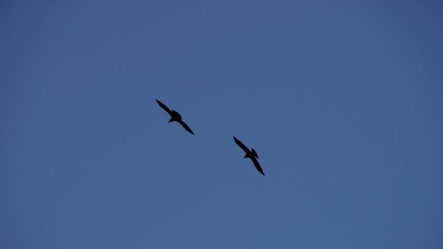 0514(1) смотреть онлайн